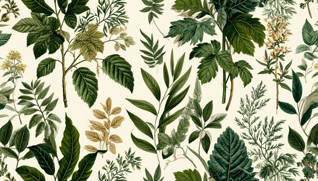Bringing the Outdoors In: The Ultimate Guide to Botanical & Nature-Inspired Wallpaper Trends for 2026