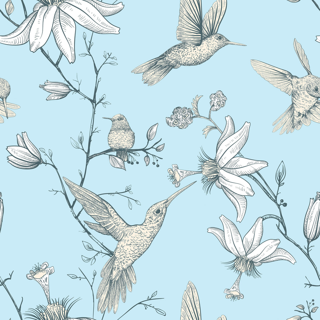 Hummingbird Wallpaper Designs