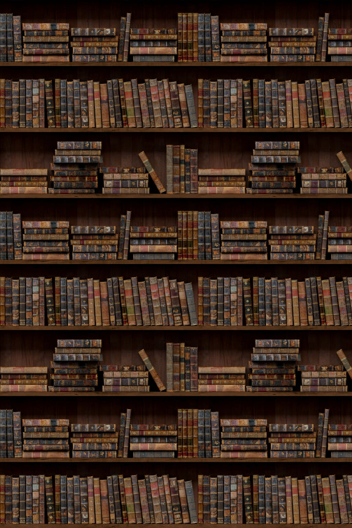 Bookshelf filled with vintage books in a dark setting