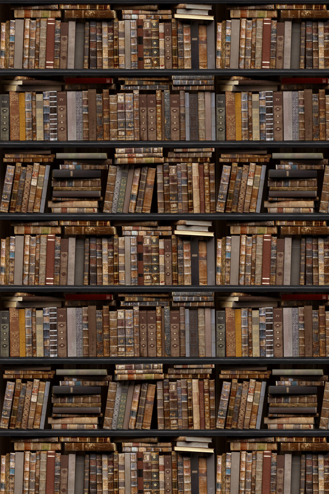 Shelves filled with books of various sizes and colors.