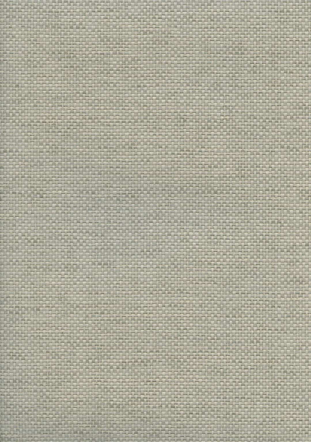 Paper Art Paper Weave Wallpaper – Soft Sage Grey 46062