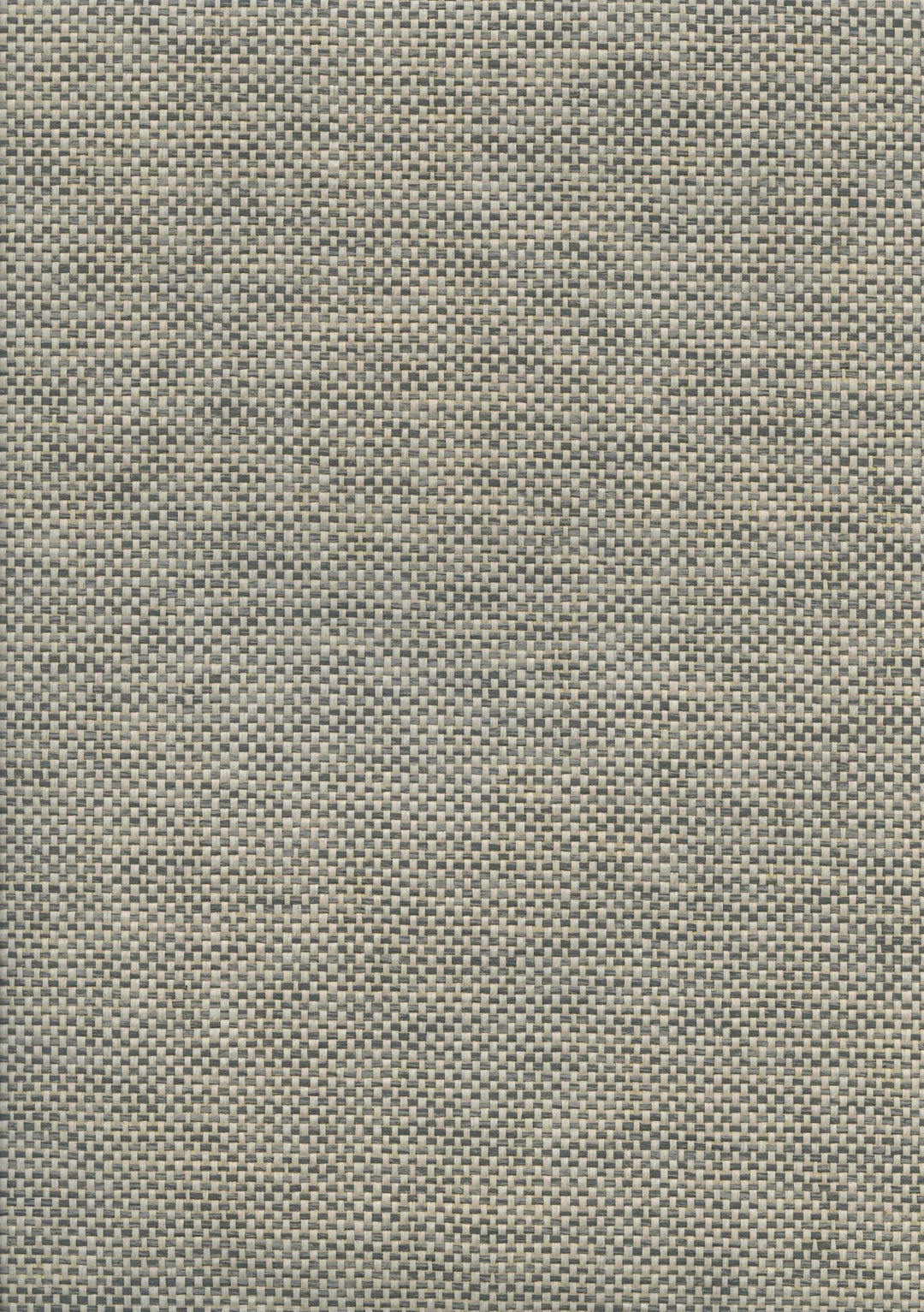 Paper Art Paper Weave Wallpaper – Charcoal Flax 46064