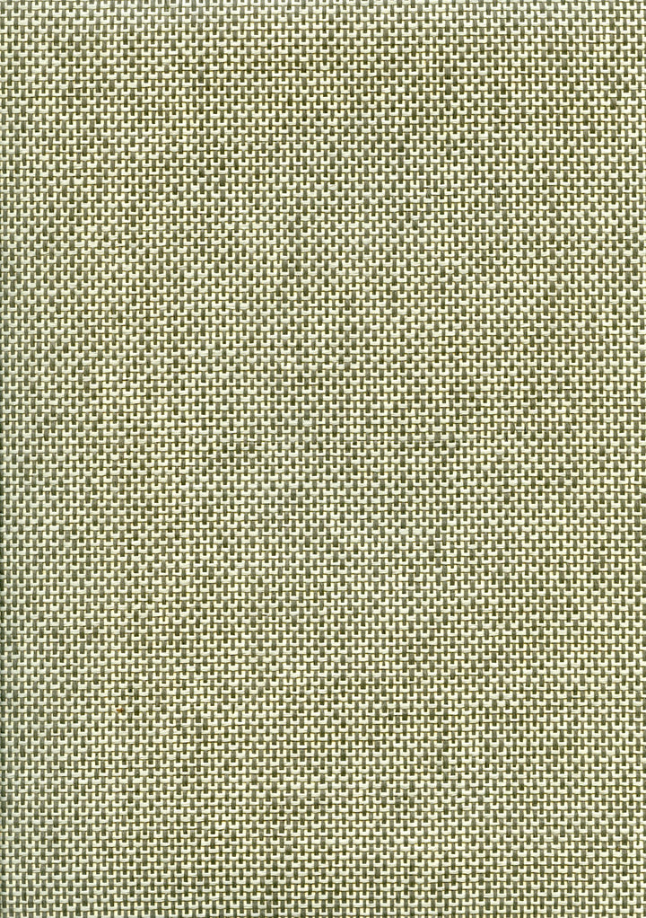 Paper Art Paper Weave Wallpaper – Moss Lattice 46118