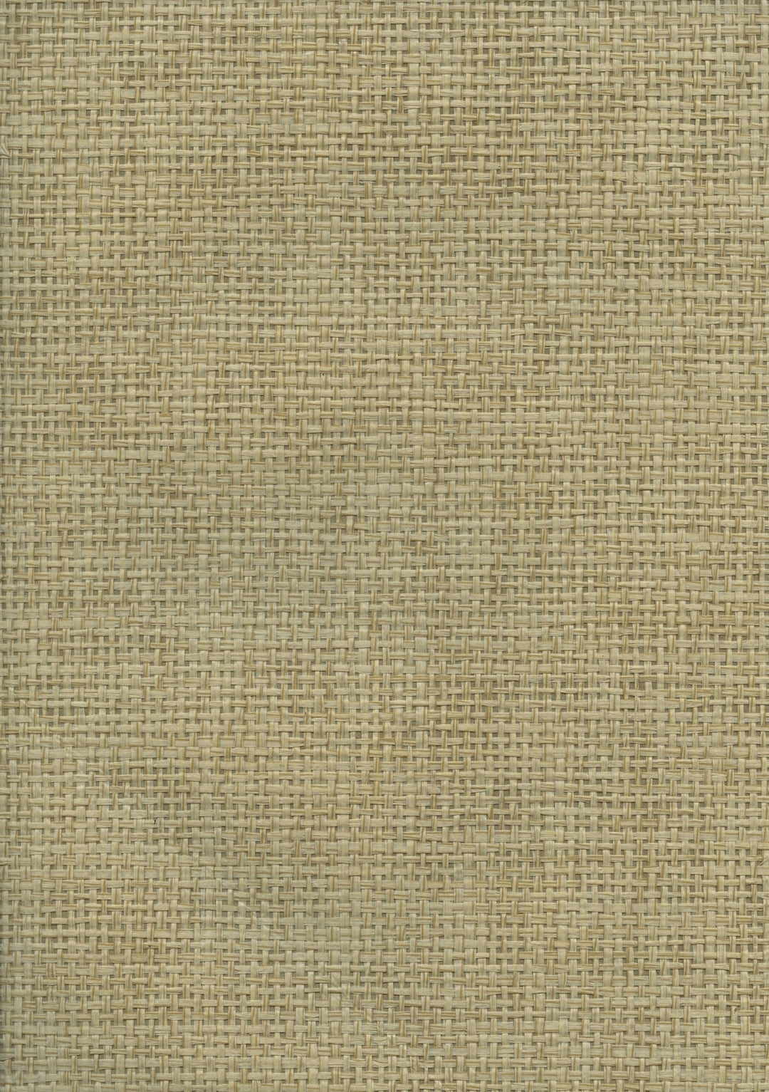 Paper Art Paper Weave Wallpaper – Sandstone Beige 46121