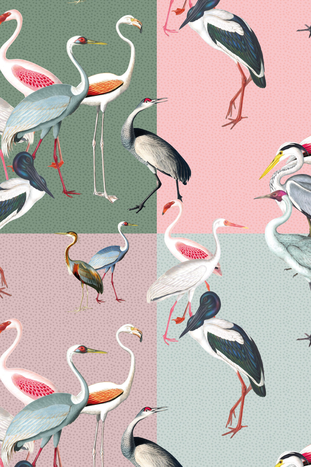 Beautiful Flamingo Birds And Herons Wallpaper #3223