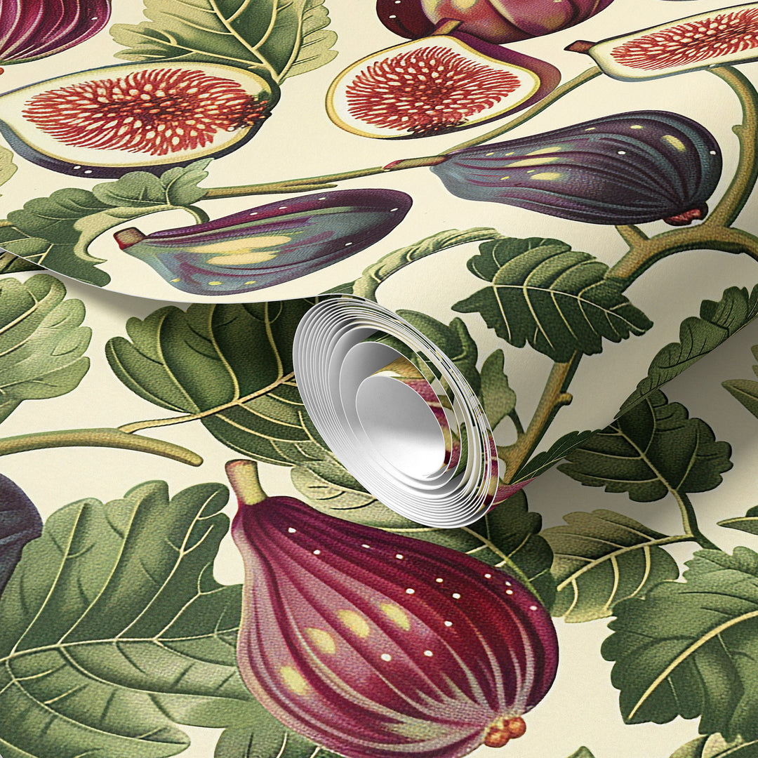 Cream wallpaper with a vintage purple fig and leafy botanical pattern shown in a rolled sample