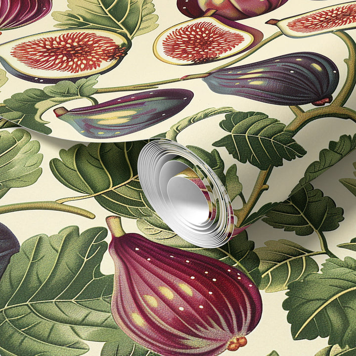 Cream wallpaper with a vintage purple fig and leafy botanical pattern shown in a rolled sample