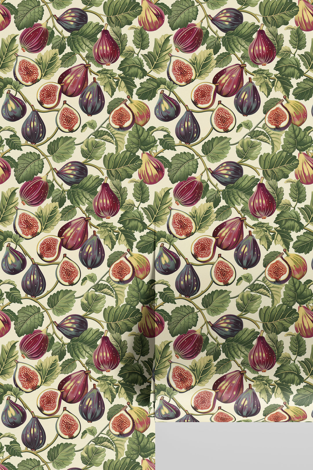 Cream wallpaper featuring a vintage purple fig and leafy botanical pattern, shown on a wall.