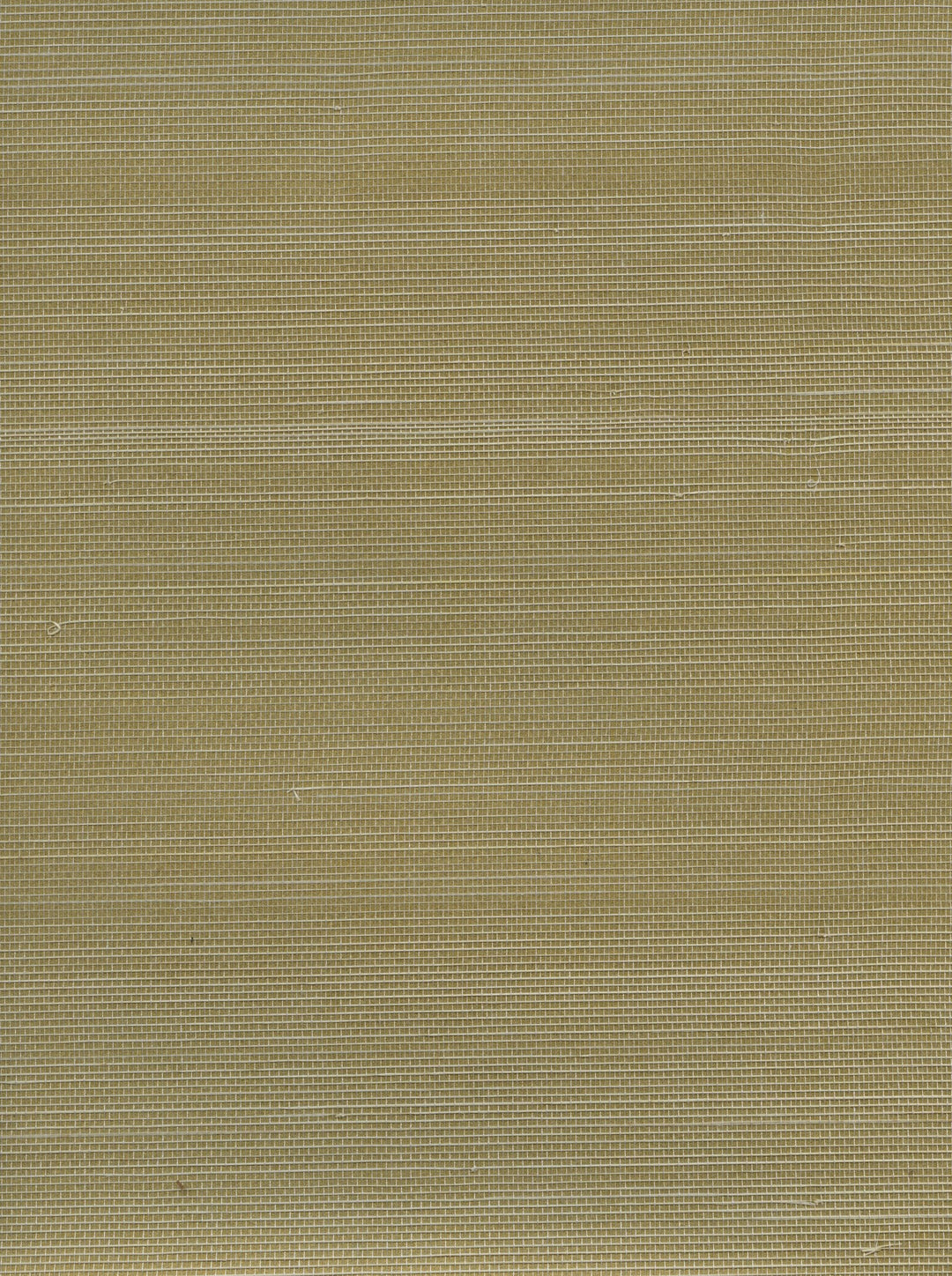 Abaca Golden Dune Field Natural Grassсloth Wallpaper 40114 #naturalgrasscloth, #grassclothwallpaper, #abacawallpaper, #goldentaupe, #warmneutral, #dunewallpaper, #earthytone
