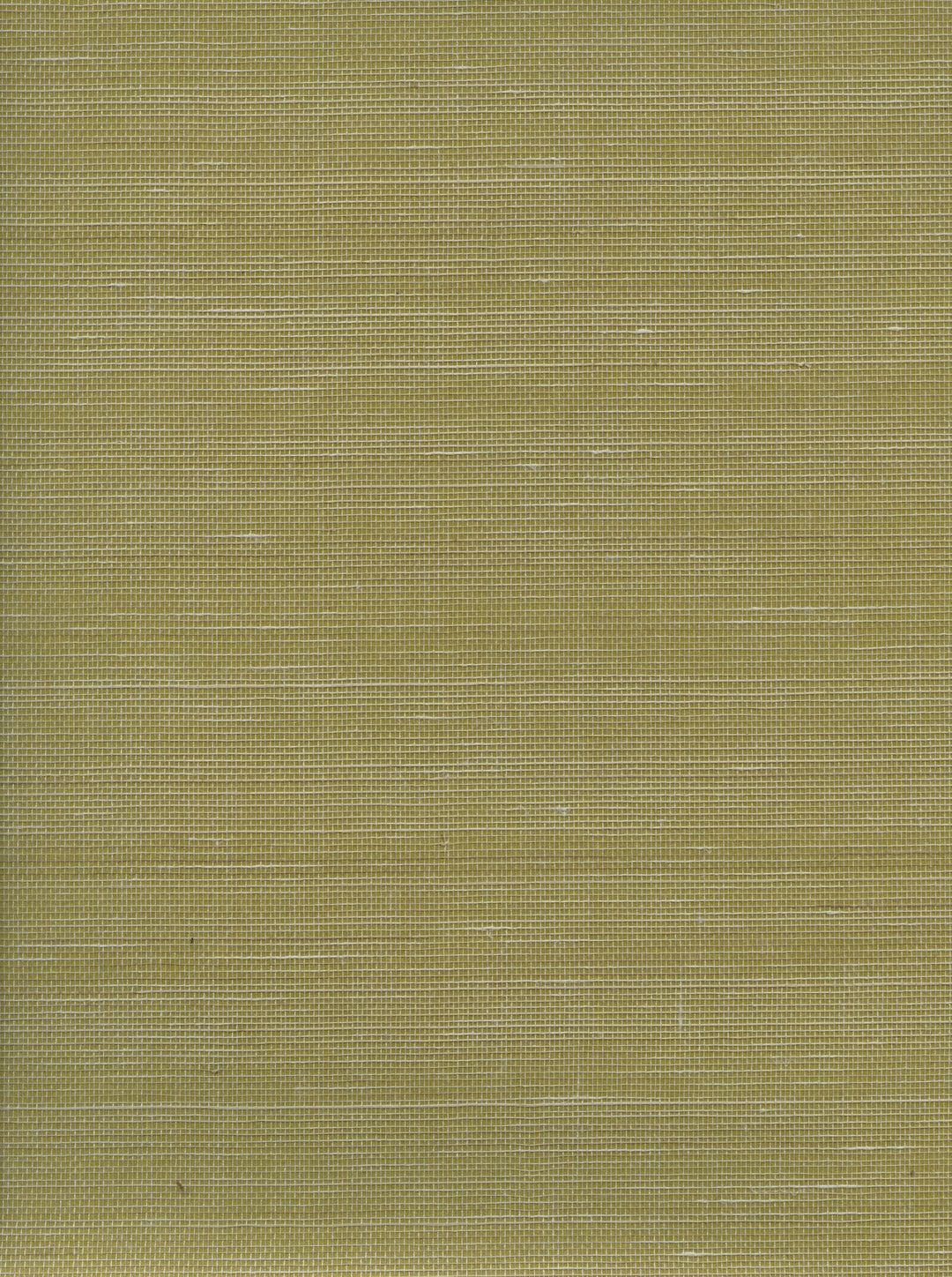 Abaca Meadow Dune Natural Grassсloth Wallpaper 42085