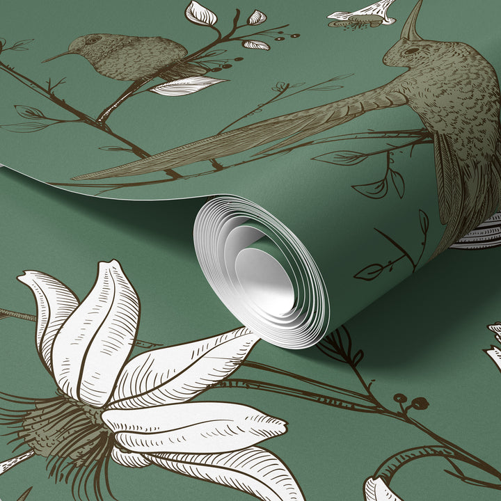 Sage green hummingbird wallpaper roll featuring vintage botanical bird and floral pattern design
