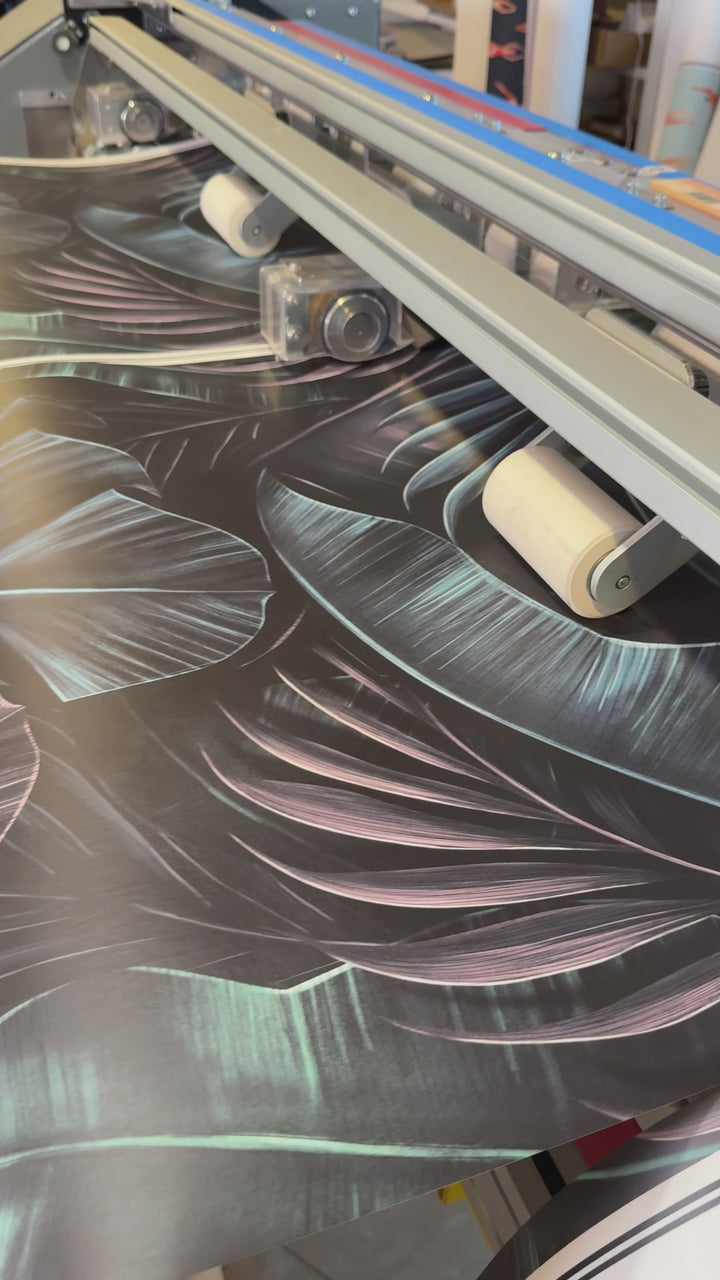 Dark wallpaper, Palm leaves, renter friendly wallpaper, - Peel and stick wall and Traditional murals #3399