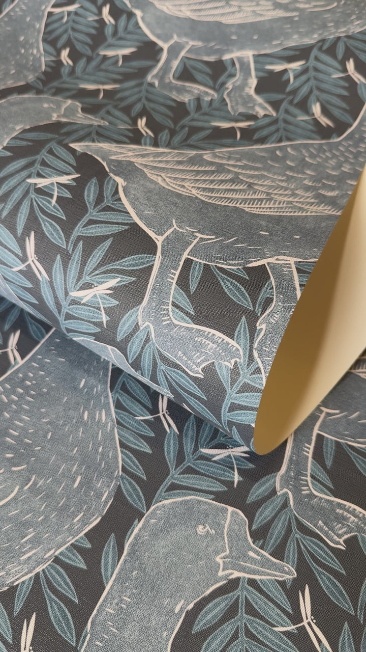 Gray Goose Wallpaper Blue Background wallpaper 3576