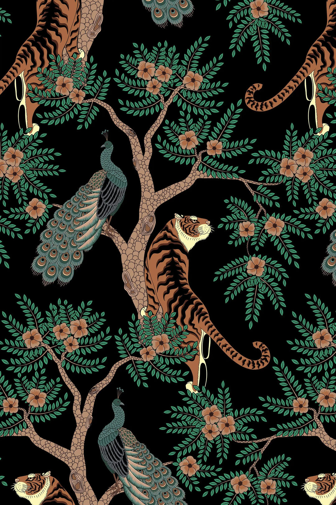 Tiger and Peacock in the woods on the black background