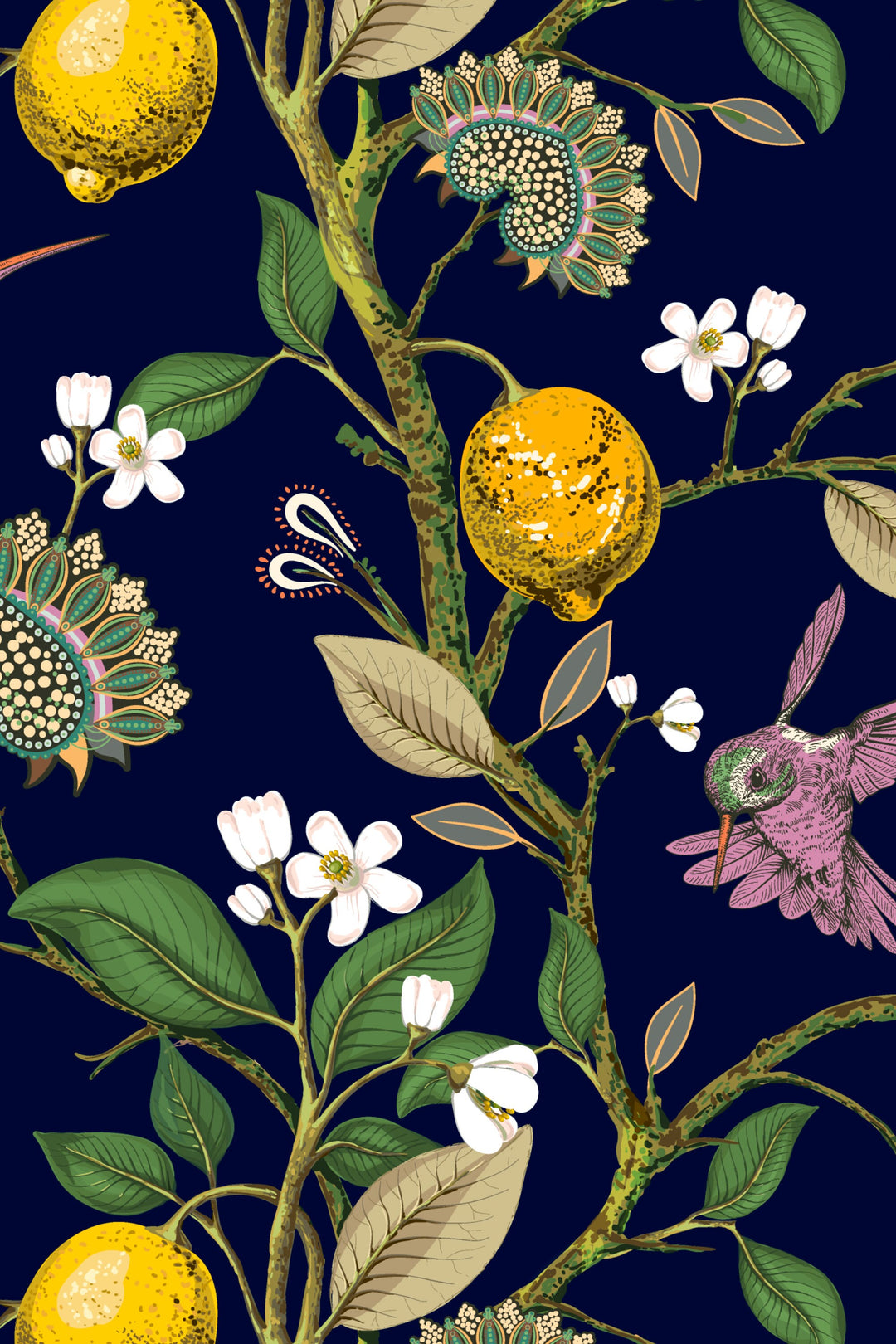 Hummingbird and lemons on dark blue Background Wallpaper
