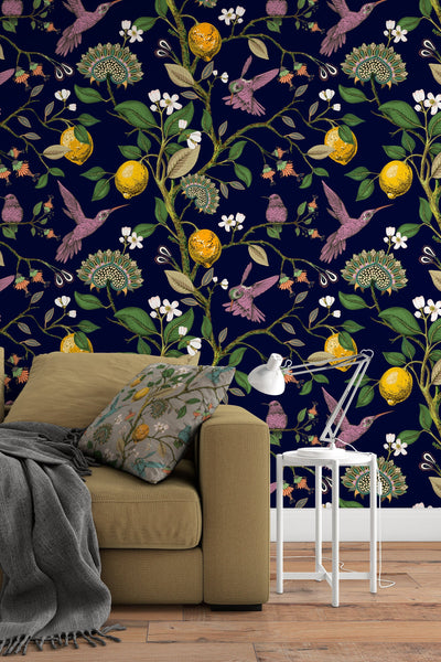 Hummingbird on dark blue Background Wallpaper