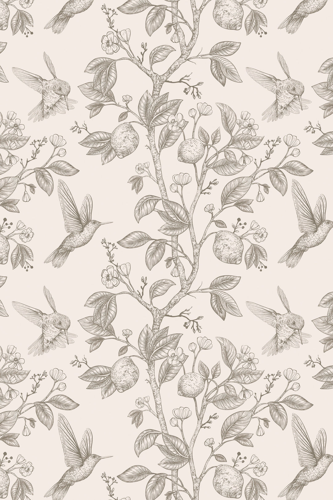 Hummingbird Paradise light gray on beige Background Wallpaper - Removable wallpaper - Vinyl Peel and Stick Wall design 3134