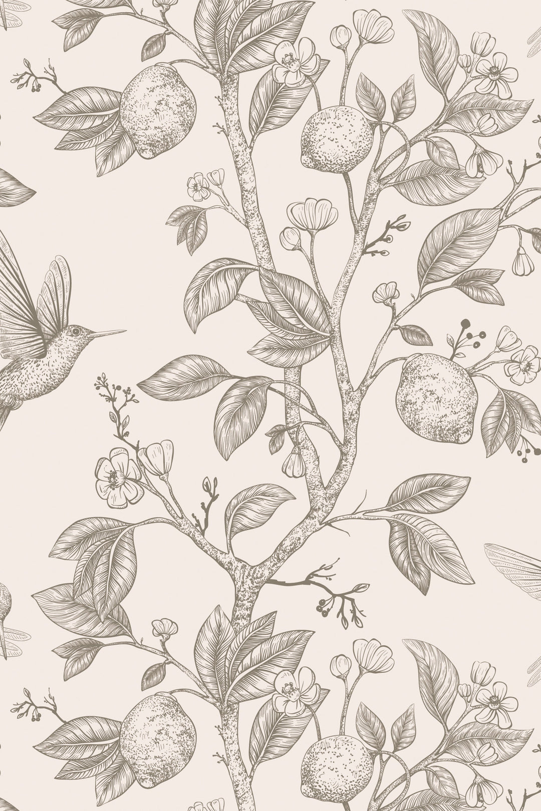 Hummingbird Paradise light gray on beige Background Wallpaper - Removable wallpaper - Vinyl Peel and Stick Wall design 3134