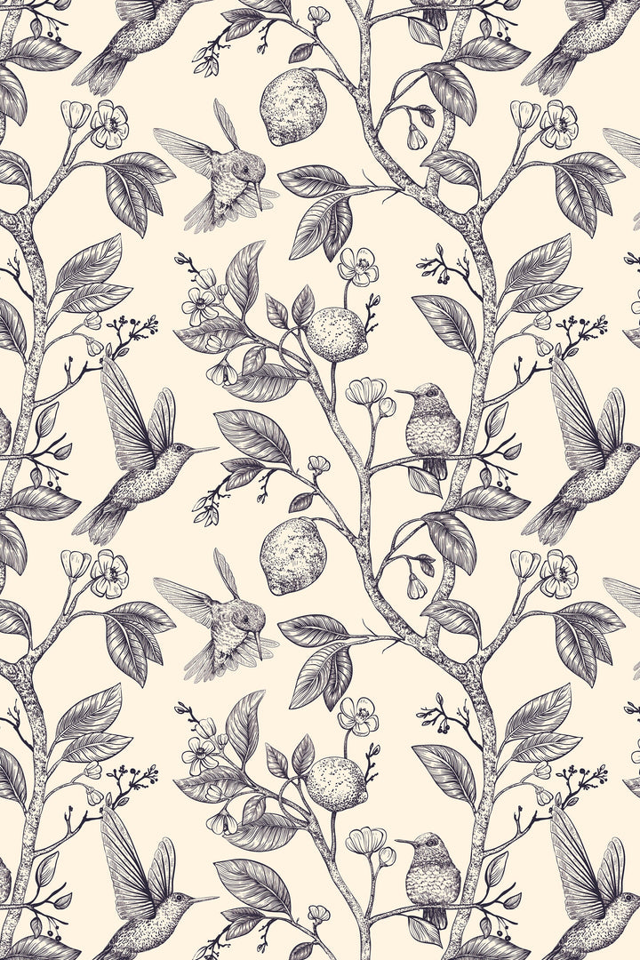 Hummingbird gray wallpaper