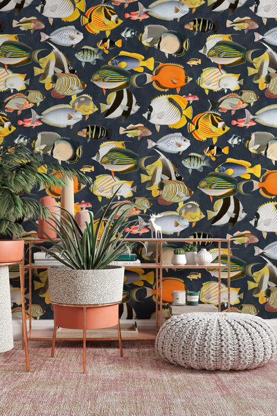 tropical fish wallpaper, fish motifs, Peel & Stick, Removable, Self Adhesive