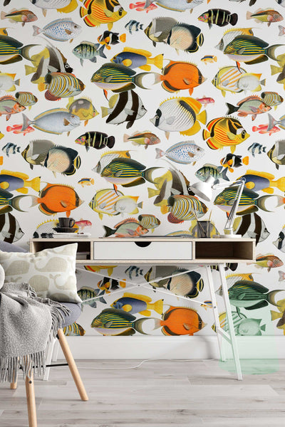 Fish Wallpaper  Peel and Stick or NonPasted