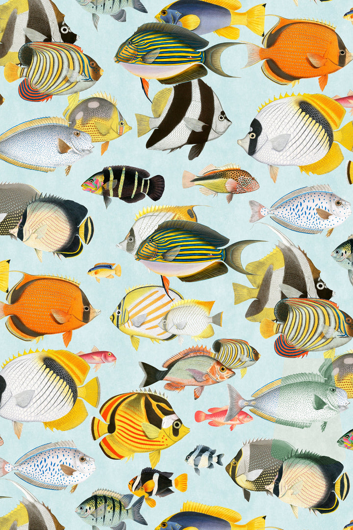 Wallpaper from an exotic collection with fish motifs - Peel & Stick - Removable Self Adhesive and traditional wallpaper #3210