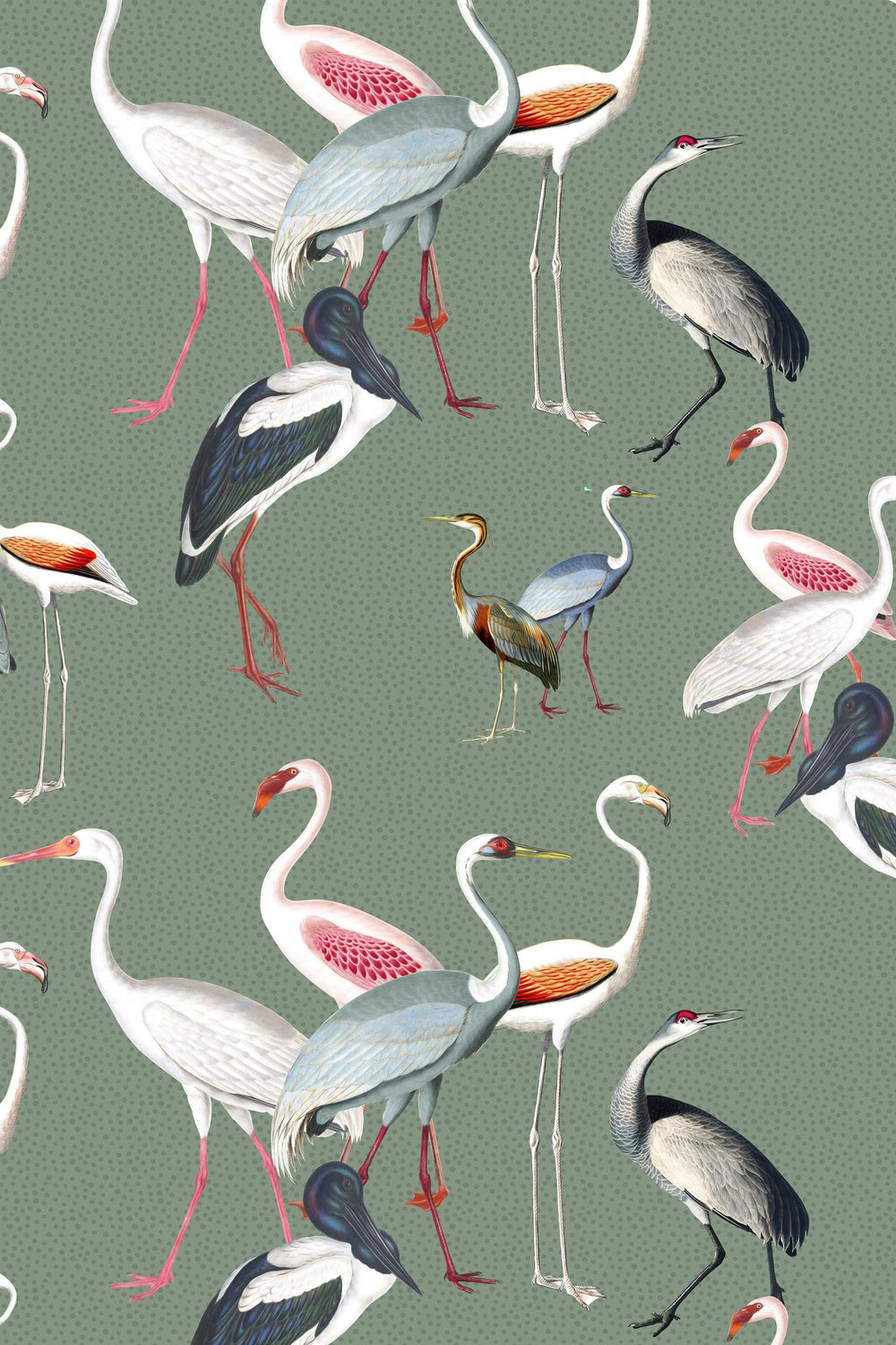 Exclusive - elegant and beautiful birds - Peel & Stick Wallpaper - Removable Self Adhesive and traditional wallpaper #3223