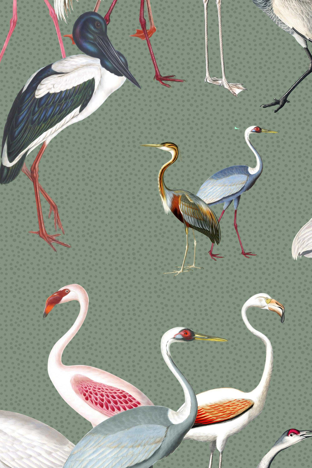 Exclusive - elegant and beautiful birds - Peel & Stick Wallpaper - Removable Self Adhesive and traditional wallpaper #3223