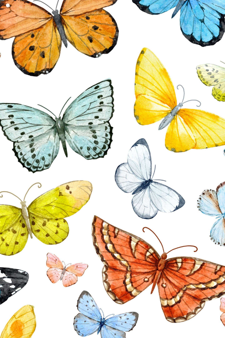 Butterflies Wallpaper on white blue background - Removable Self Adhesive pattern wallpaper #3257