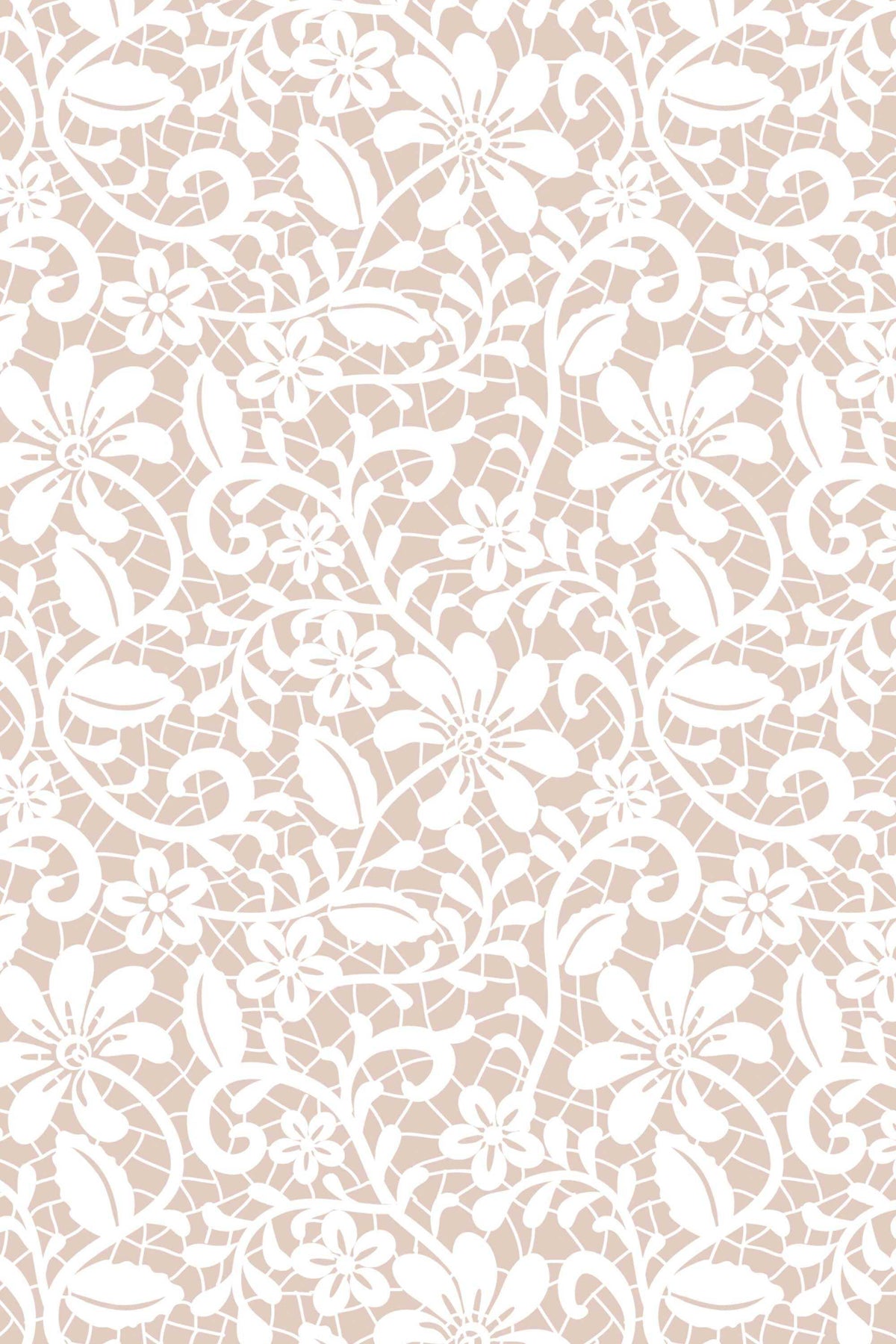 white lace design background