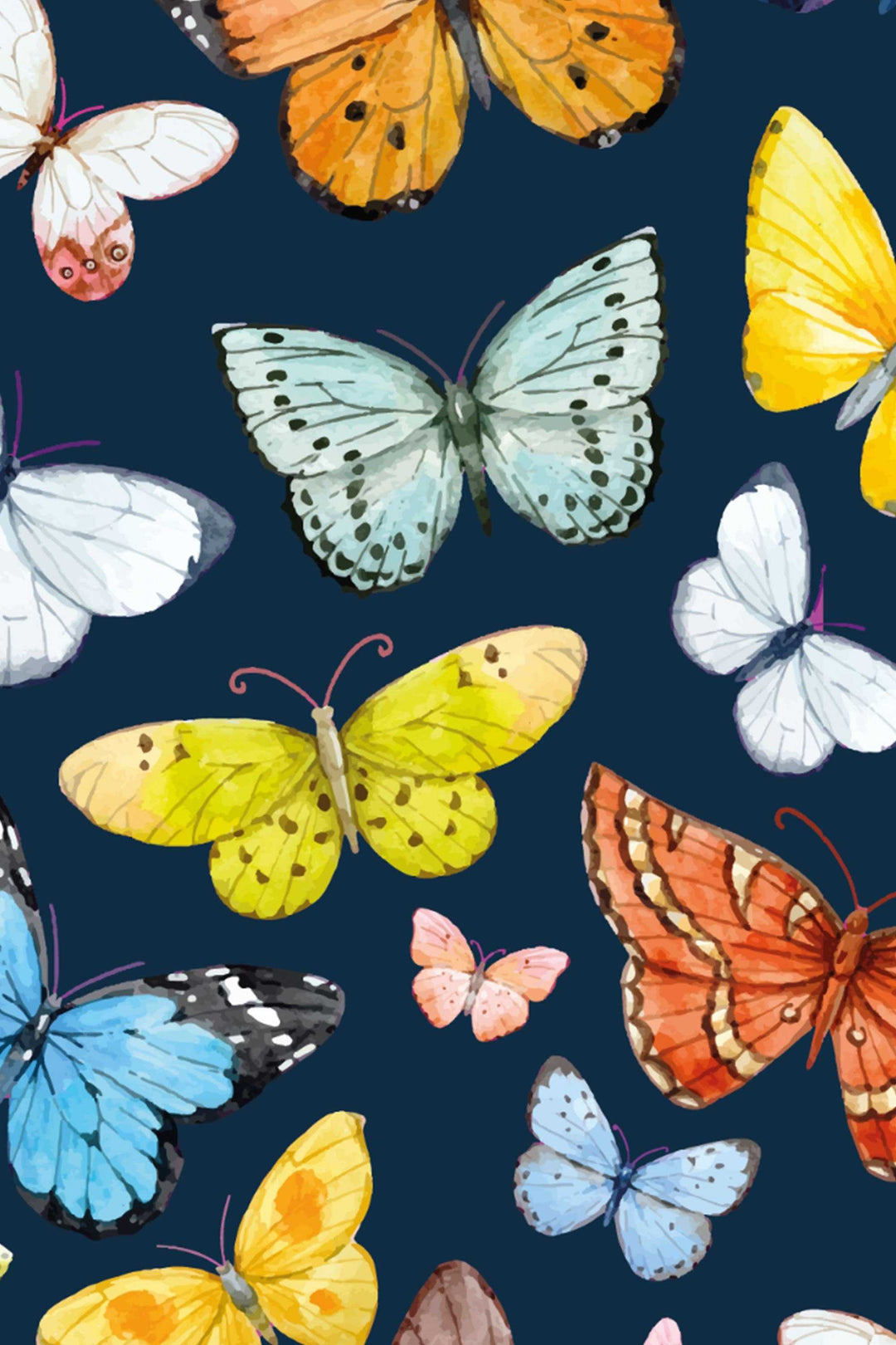 Butterflies Wallpaper on deep blue background - Removable Self Adhesive pattern wallpaper #3256