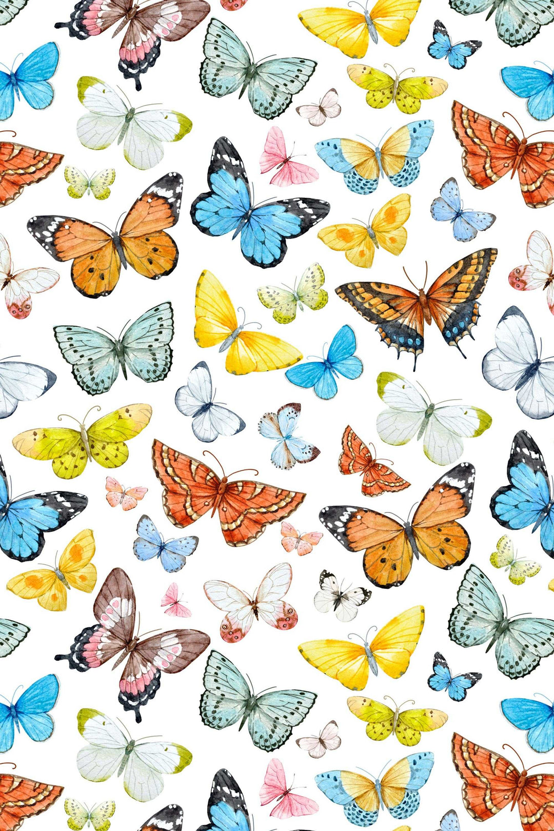 Butterflies Wallpaper on white blue background - Removable Self Adhesive pattern wallpaper #3257