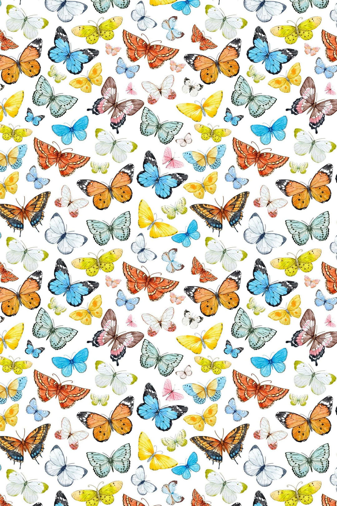 Butterflies Wallpaper on white blue background - Removable Self Adhesive pattern wallpaper #3257