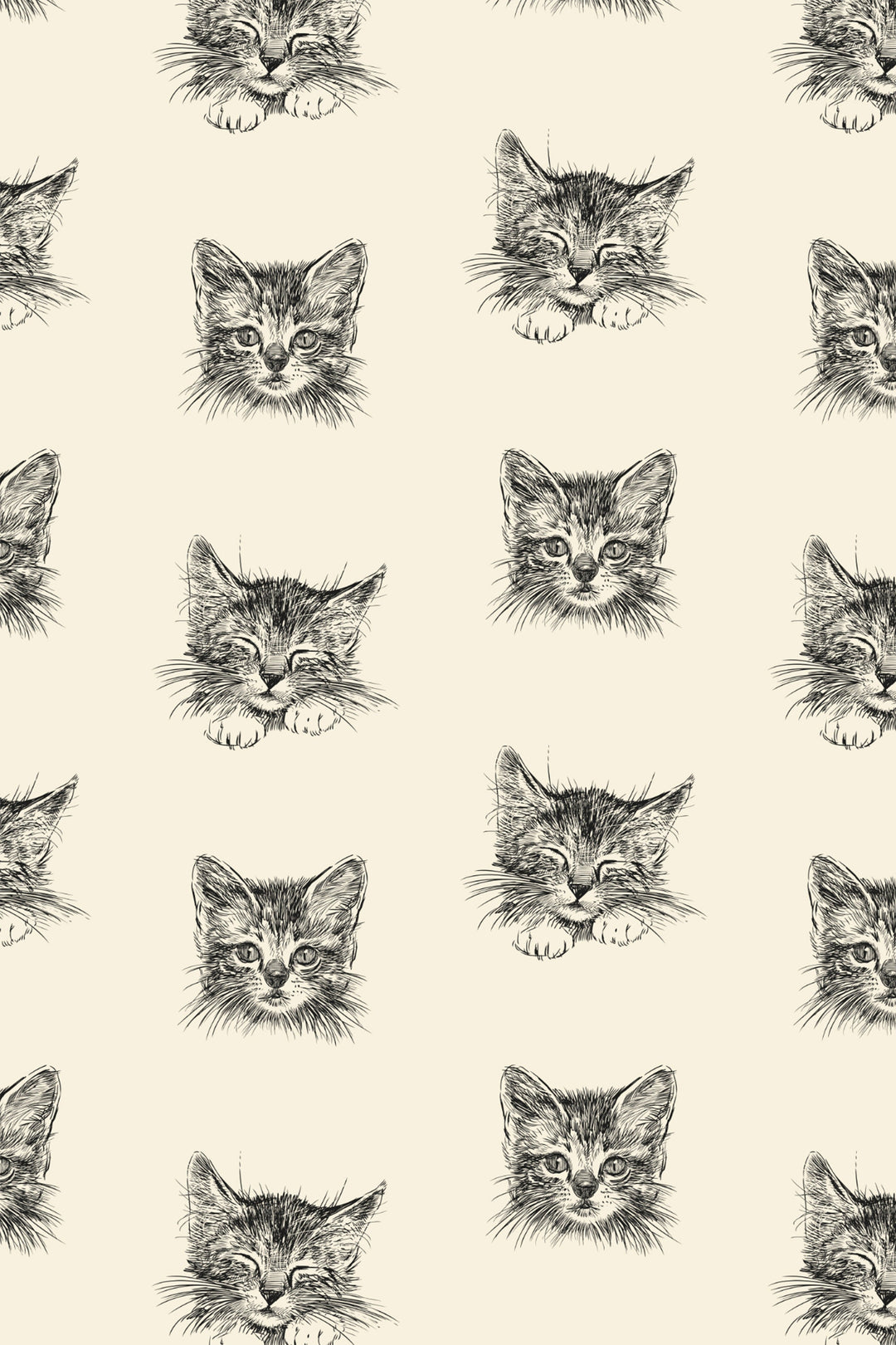 cats faces animal wallpaper