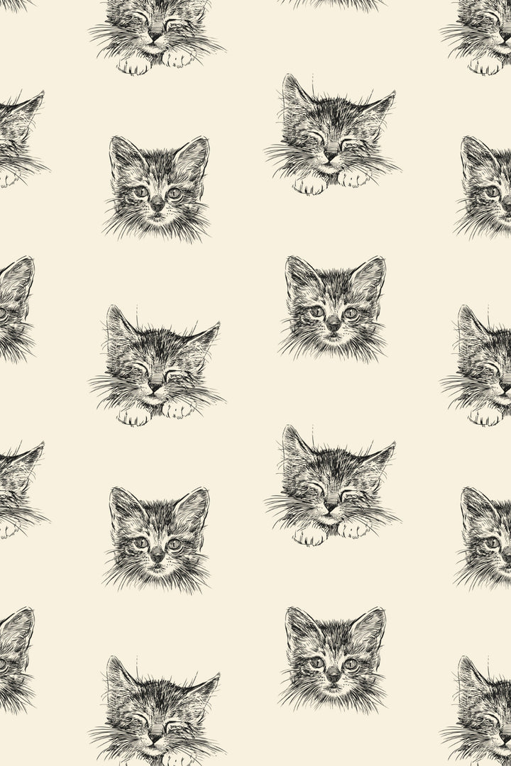 cats faces animal wallpaper