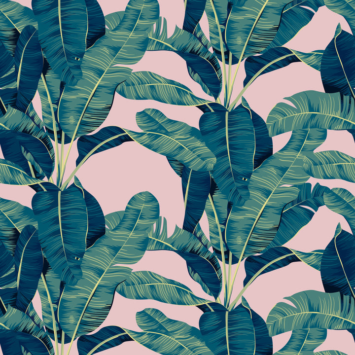 Banana leaves on pink background wallpaper #3398