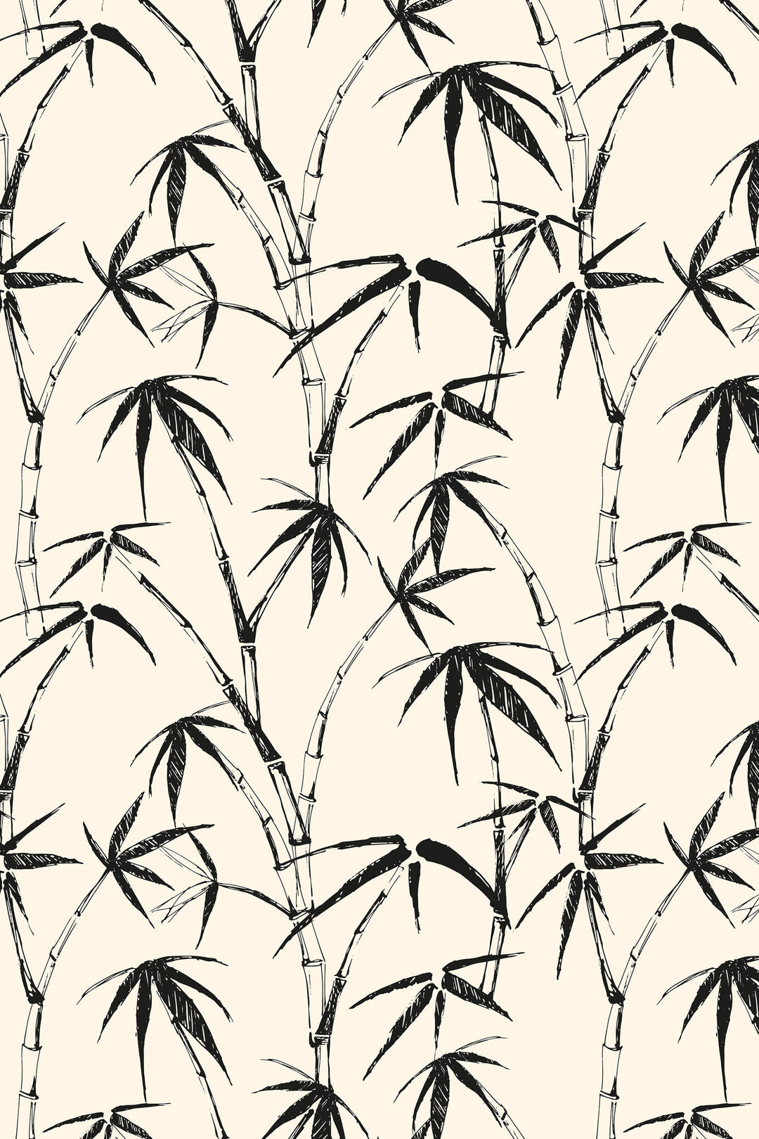 Bamboo Palm Leafs Wallpaper Boho herbs 3456