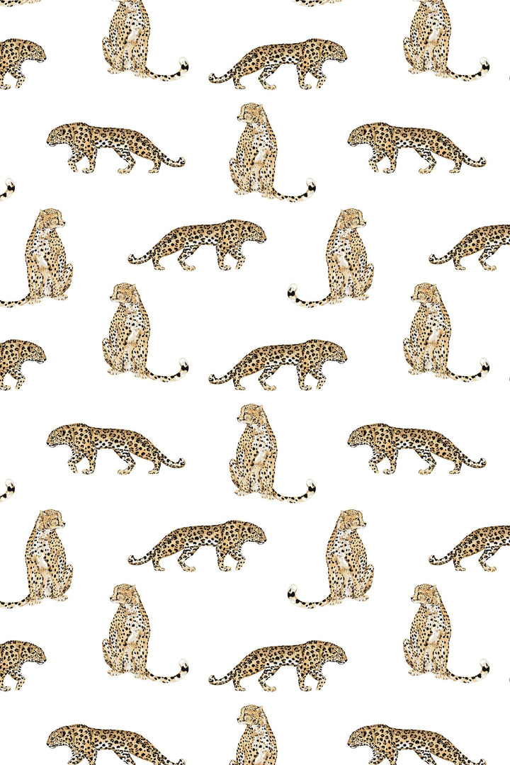 Wallpaper Cheetah, Removable Self Adhesive and Traditional wallpaper 3477