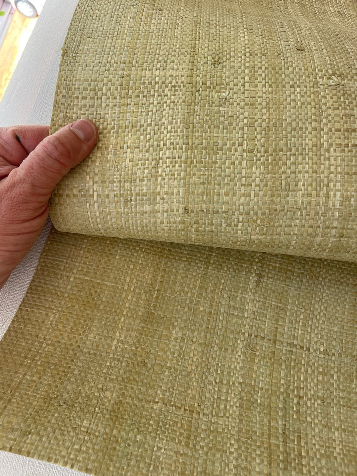 Natural Grasscloth Raffia rough Wallpaper 45020